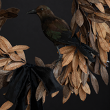 Feathered Crow