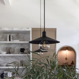 Mccoy pendants with shelves in the background and greenery in the foreground