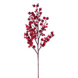 Red Cluster Berry Spray Bundle