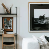 Blank Horse by Annie Spratt