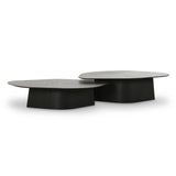 Roche Nesting Coffee Table Set