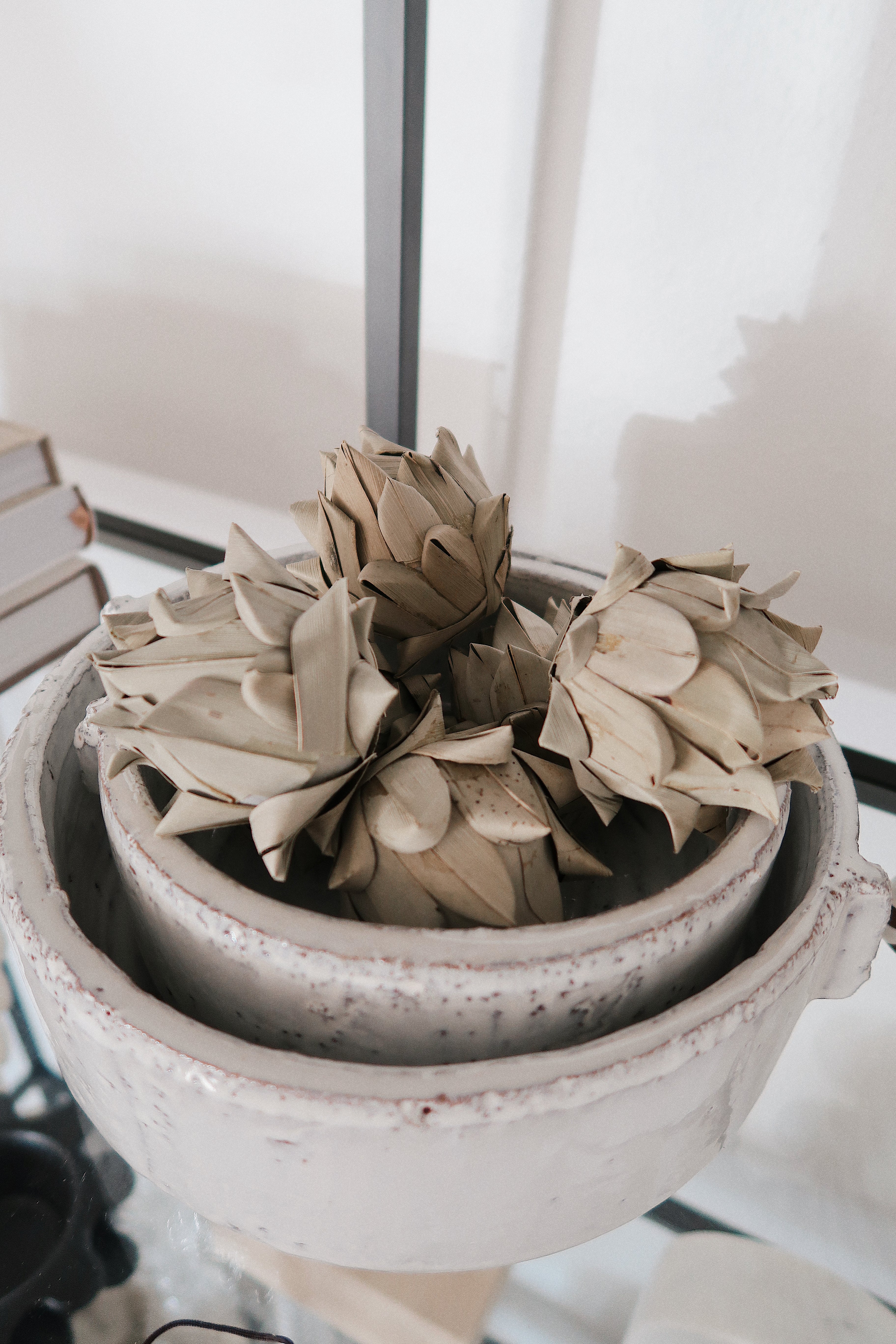 Desert Dried Artichoke Palms