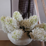 Hydrangea Stem - 37.5"