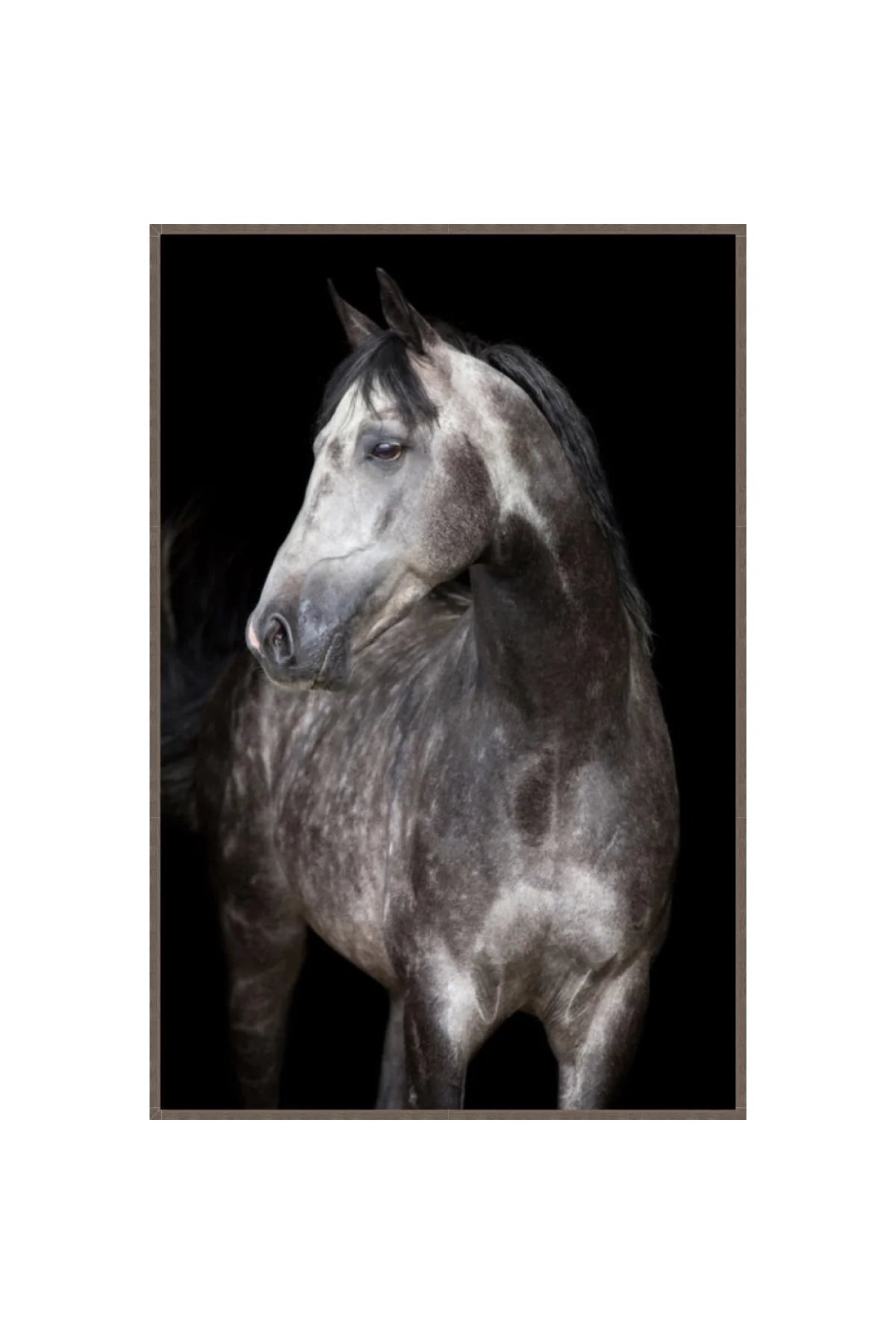 Silver Wall Art