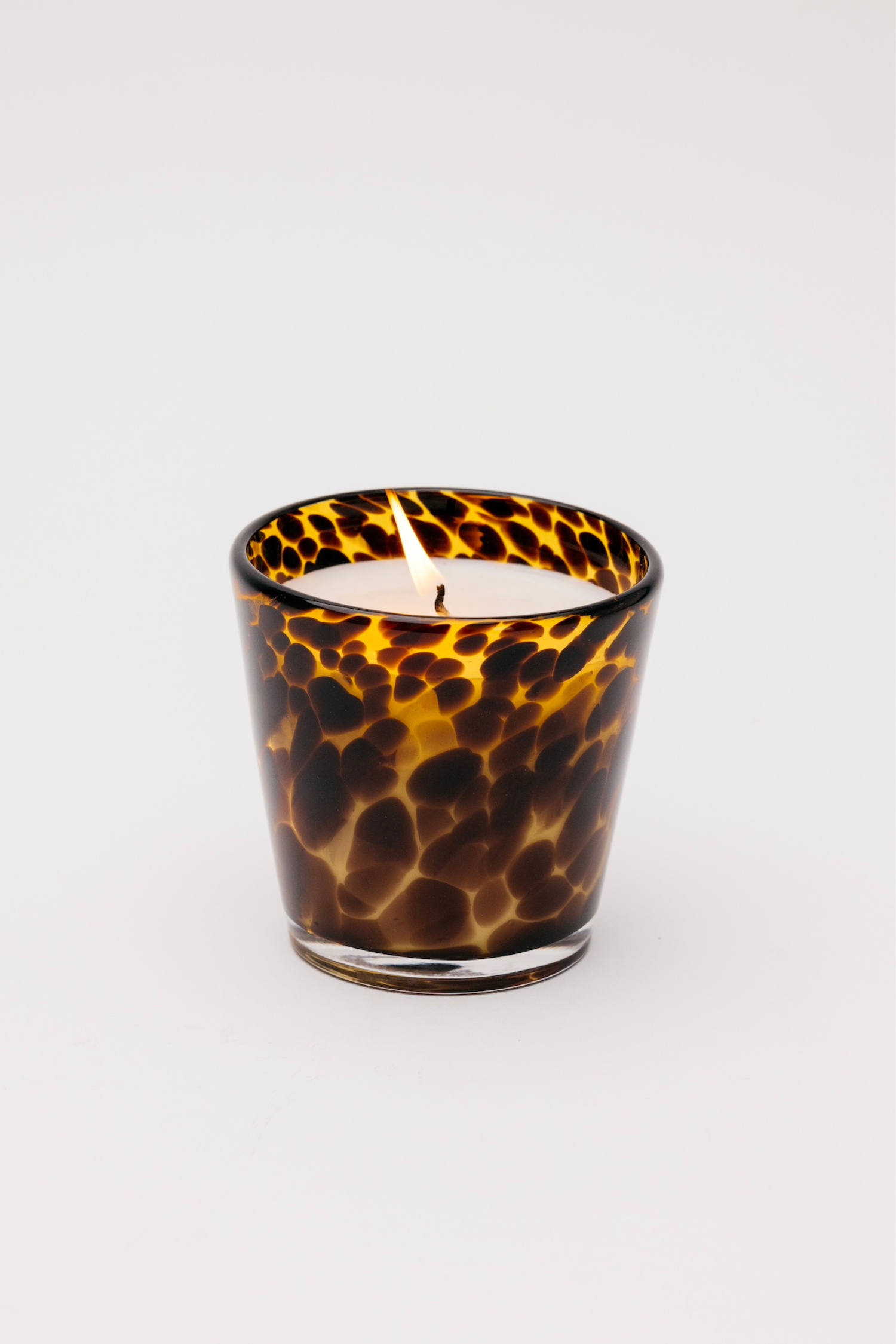 Rare Tortoise Candle