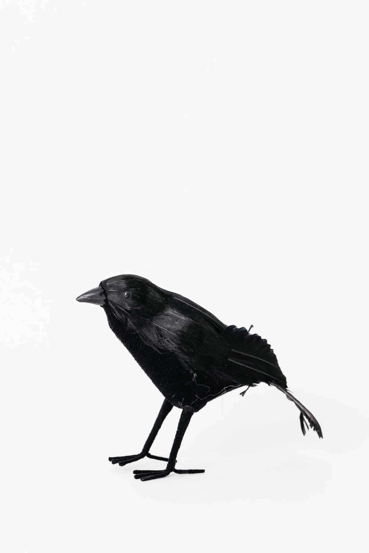 Buffy Crow