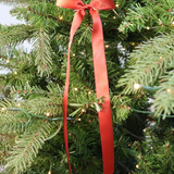 Thick Whimsy Bow - Rusty Red - Set of 3