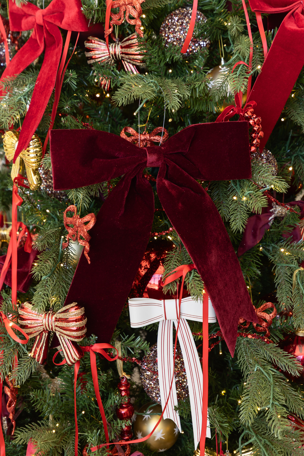Velvet Bow - Dark Red - 2 Sizes