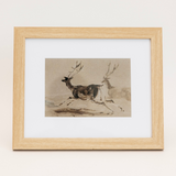 Fallow Wall Art