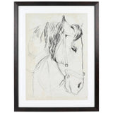 Horse In Bridle Wall Art - 2 Styles