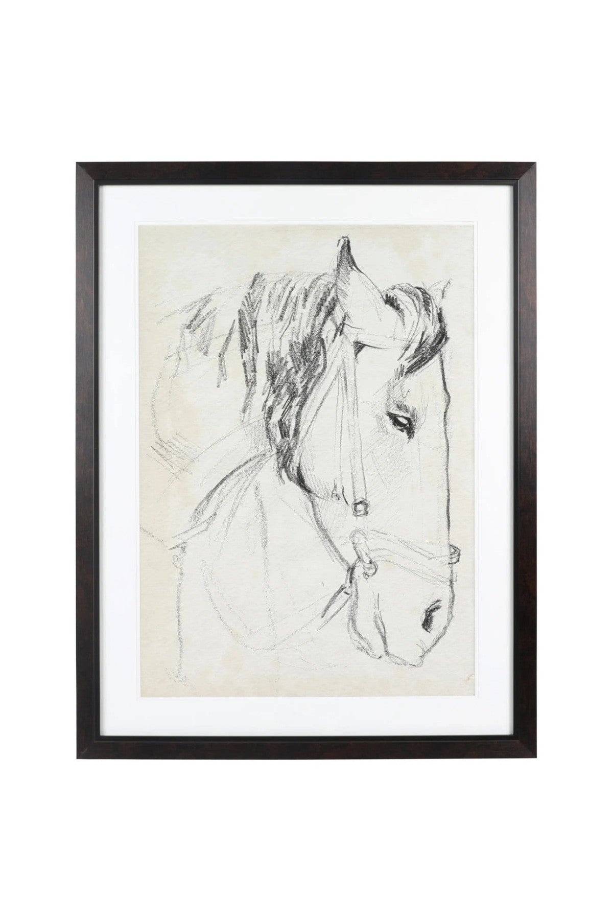 Horse In Bridle Wall Art - 2 Styles
