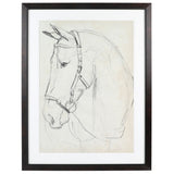 Horse In Bridle Wall Art - 2 Styles