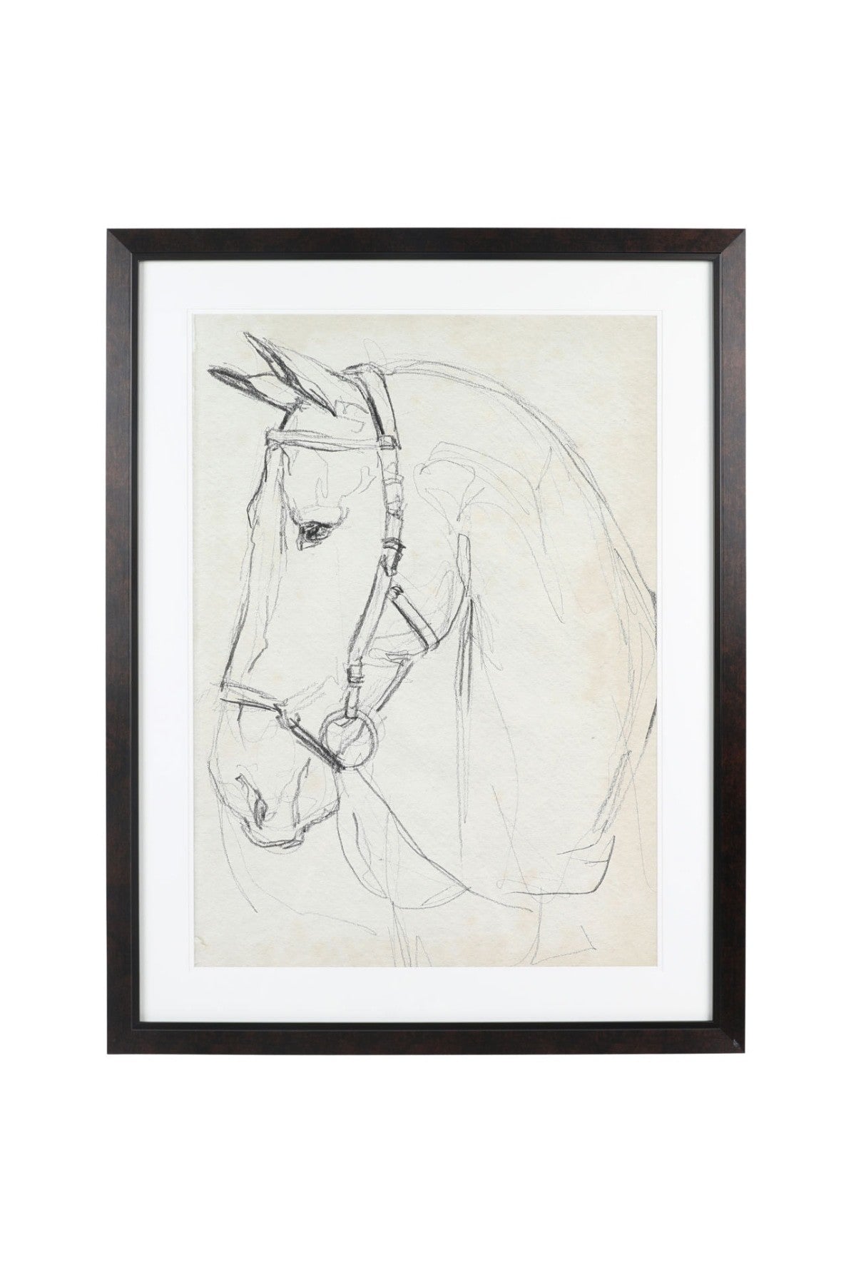 Horse In Bridle Wall Art - 2 Styles