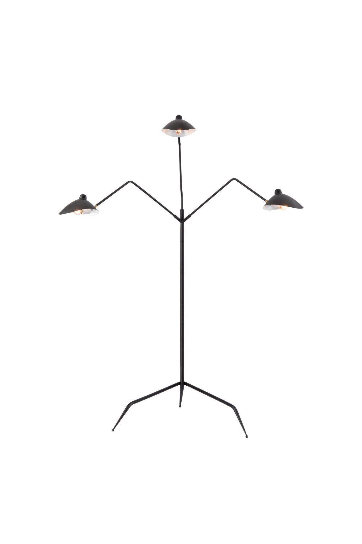 Artemide Floor Lamp