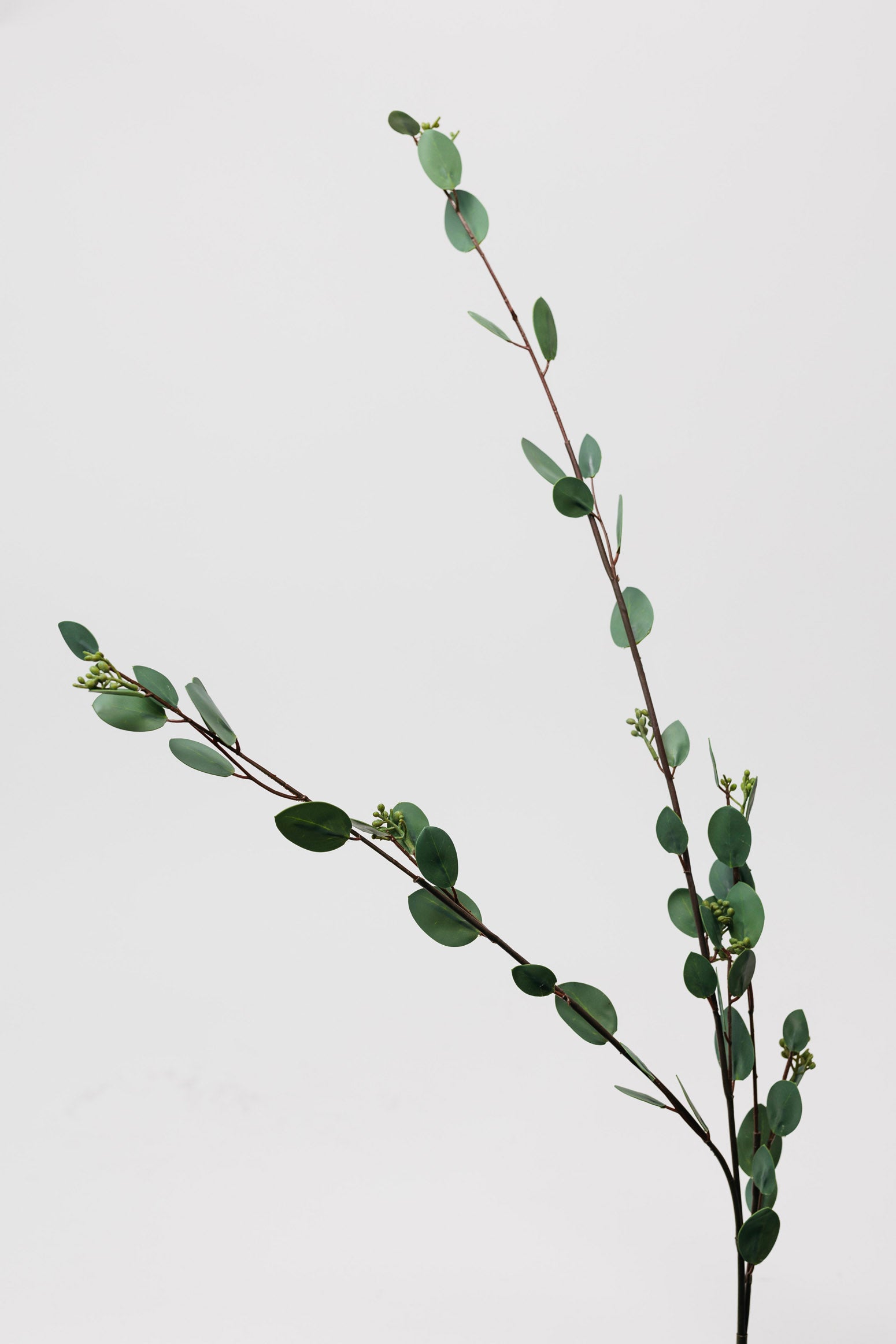 Olsen Eucalyptus Branch - 46"