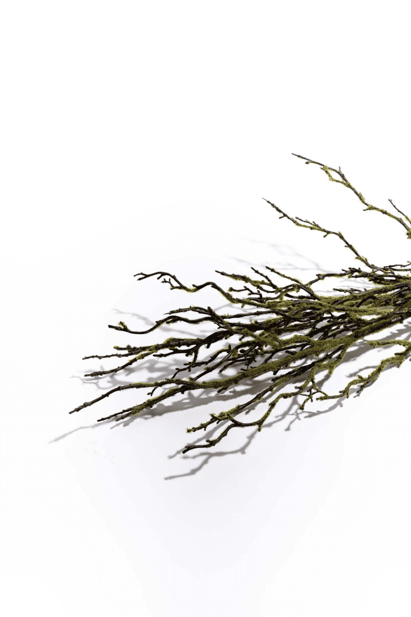 36" Branch with Moss