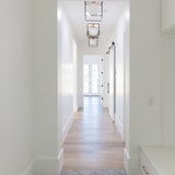 Aira Flush Mount Ceiling Light