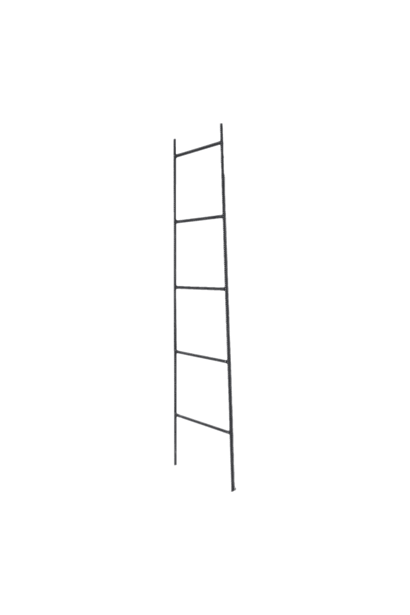 Binx Iron Ladder