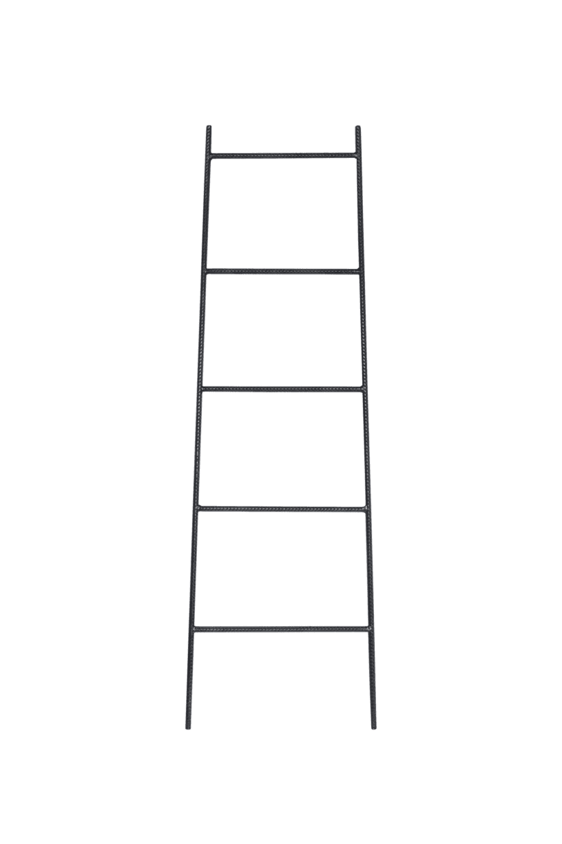 Binx Iron Ladder