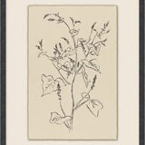 Calm Sprout - 6 Styles