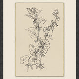 Calm Sprout - 6 Styles