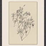 Calm Sprout - 6 Styles