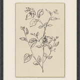 Calm Sprout - 6 Styles