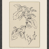 Calm Sprout - 6 Styles