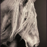 Steel Stallion Wall Art